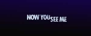 Now You See Me Case Study